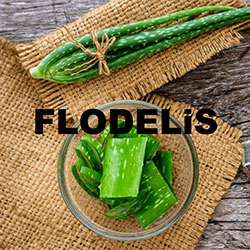 Торговая марка косметики FLODELIS в Украине